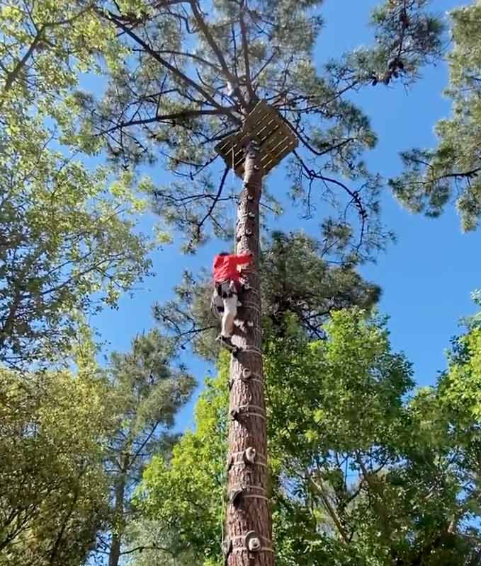 Escalabre escalade arbre Feeling Forest Vendée